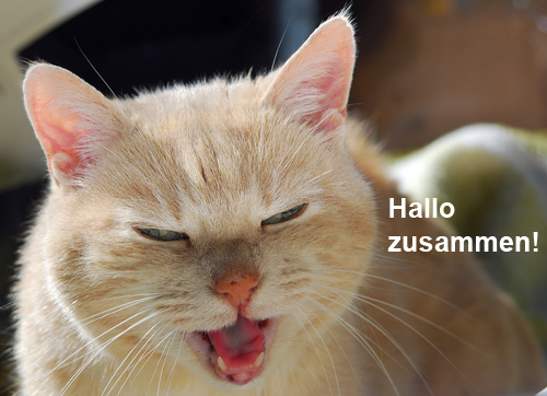 Schweizer INternetmagazin www.kulturonline.ch mit Facelifting