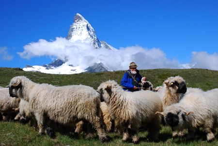 Zermatt und Matterhorn sind wie ein Magnet – einfach anziehend schön!