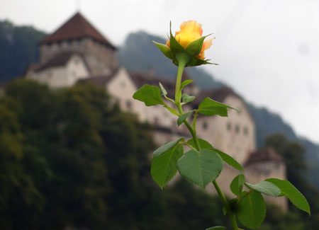 Fürstentum Liechtenstein ist mehr als eine Reise wert Kulturonline.ch
