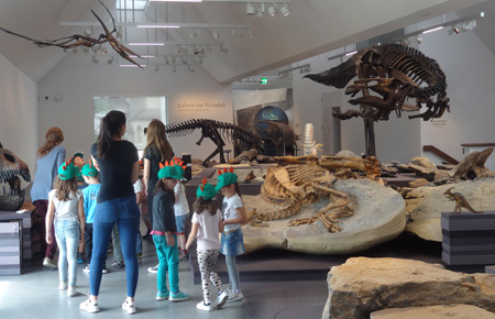 Naturmuseum St. Gallen auf Kulturonline.ch