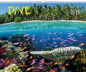 Dive 2019 beim Verlagshaus Delius Klasing